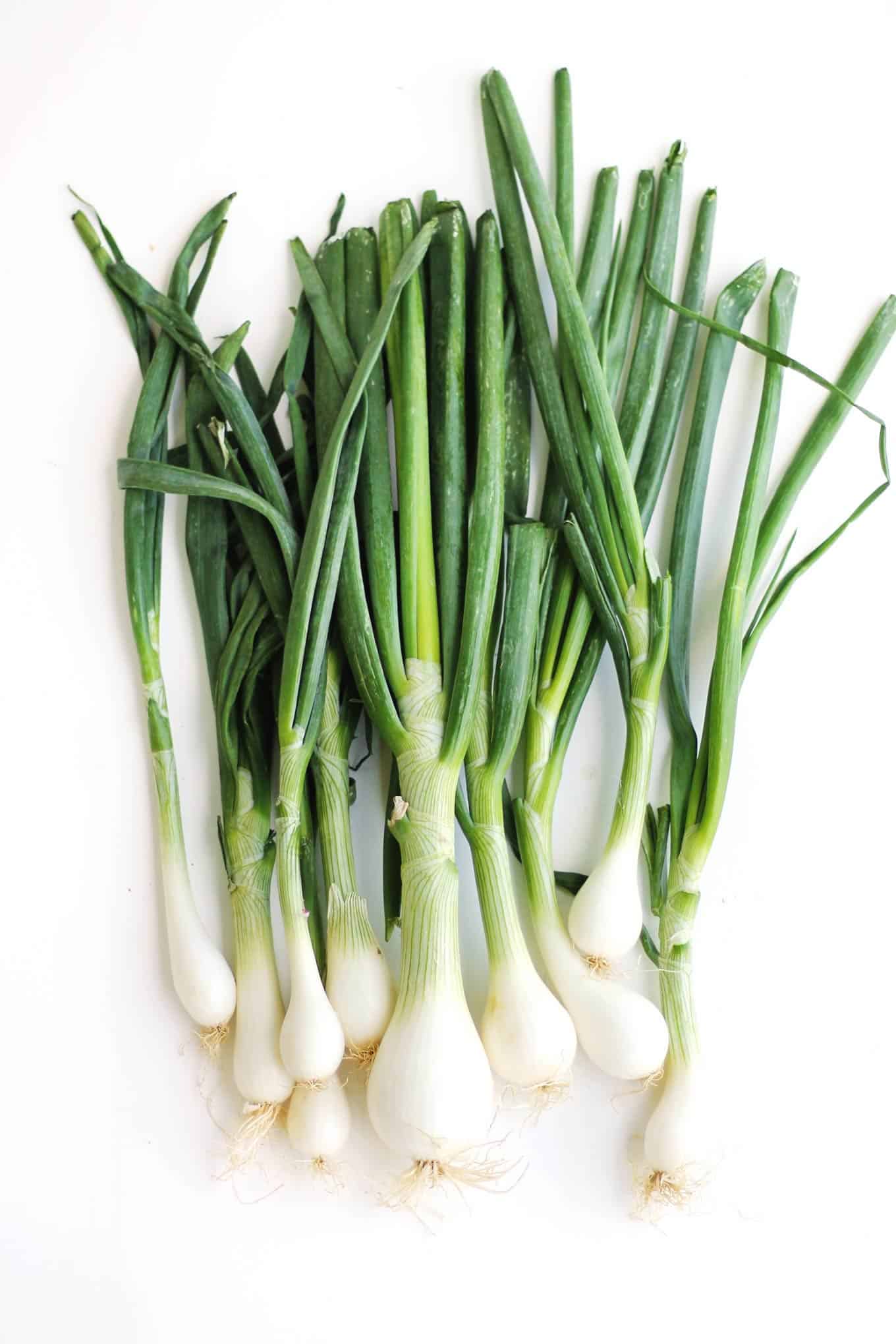 Spring onion photography