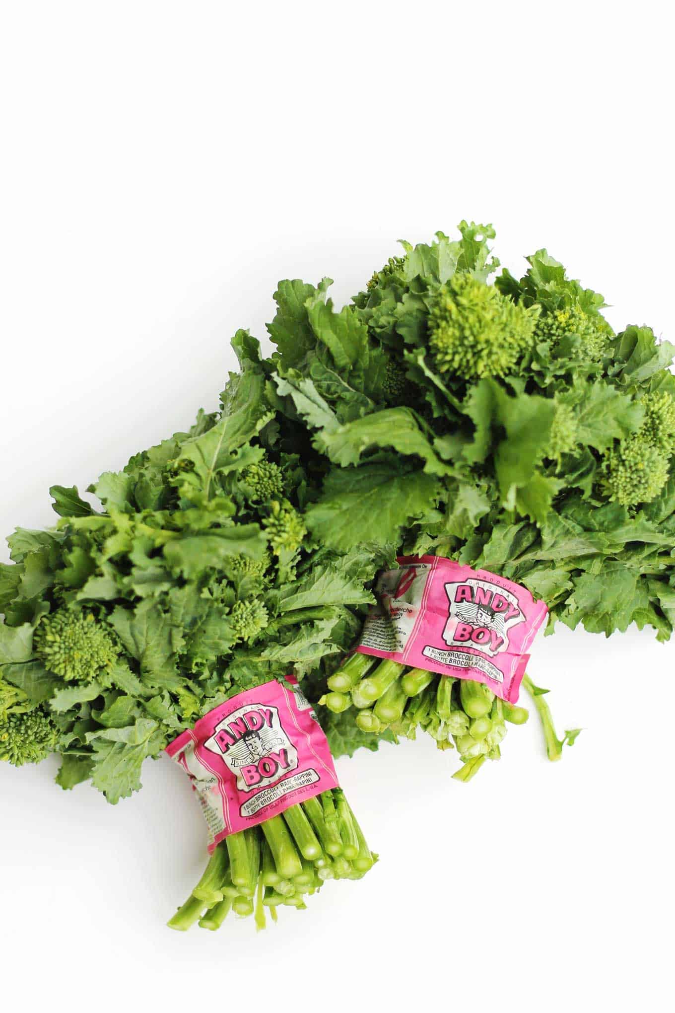 30-minute roasted squash salad with broccoli rabe and kale recipe! A warm, vegan salad perfect for a healthy weeknight dinner or meatless monday. // Rhubarbarians // vegetarian salad / dairy free dinner / gluten free meal / #roastedsquash #meatlessmonday #vegandinner #healthysalad #rhubarbarians #glutenfree