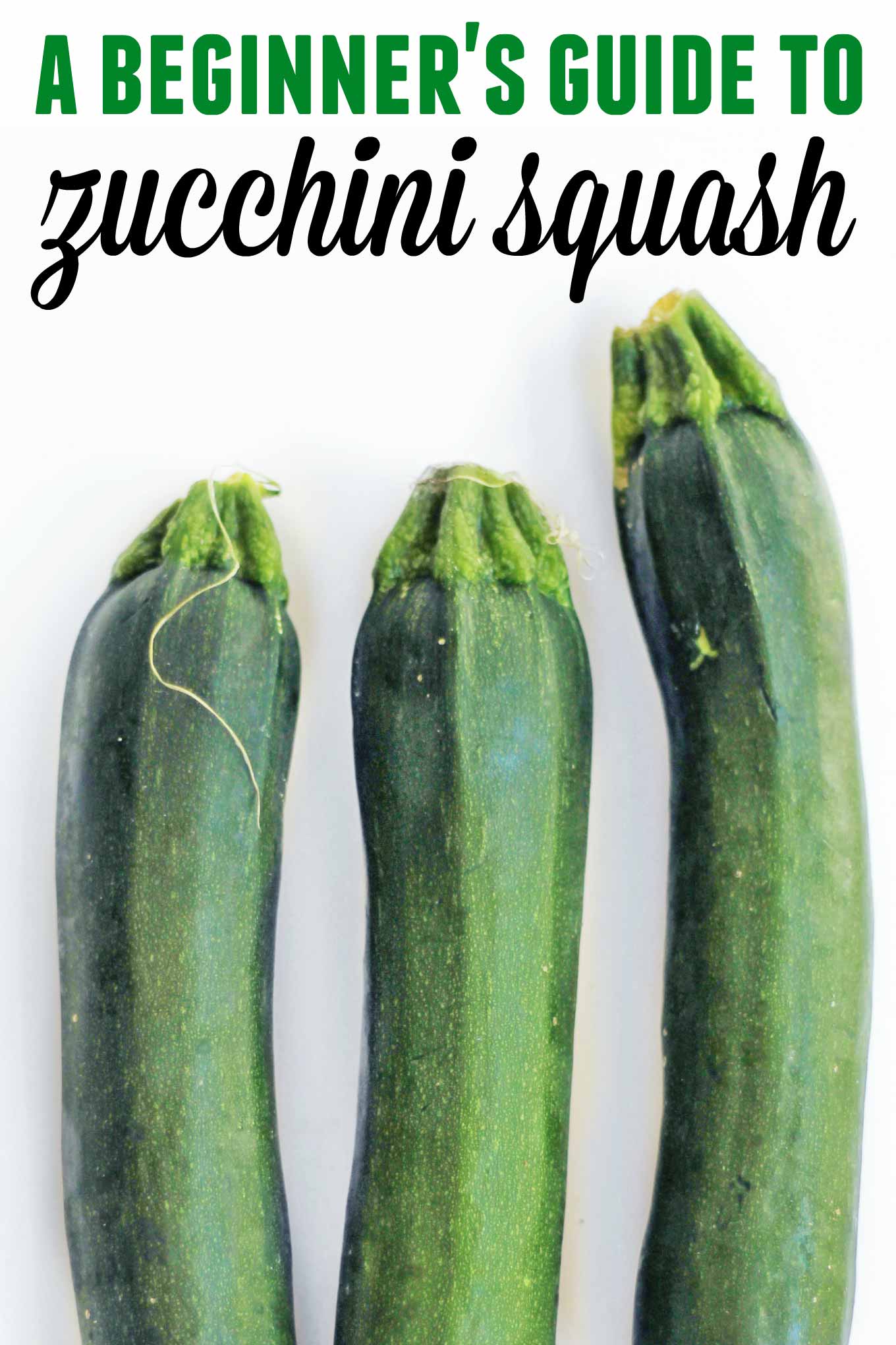 All about zucchini! A beginner's guide Rhubarbarians