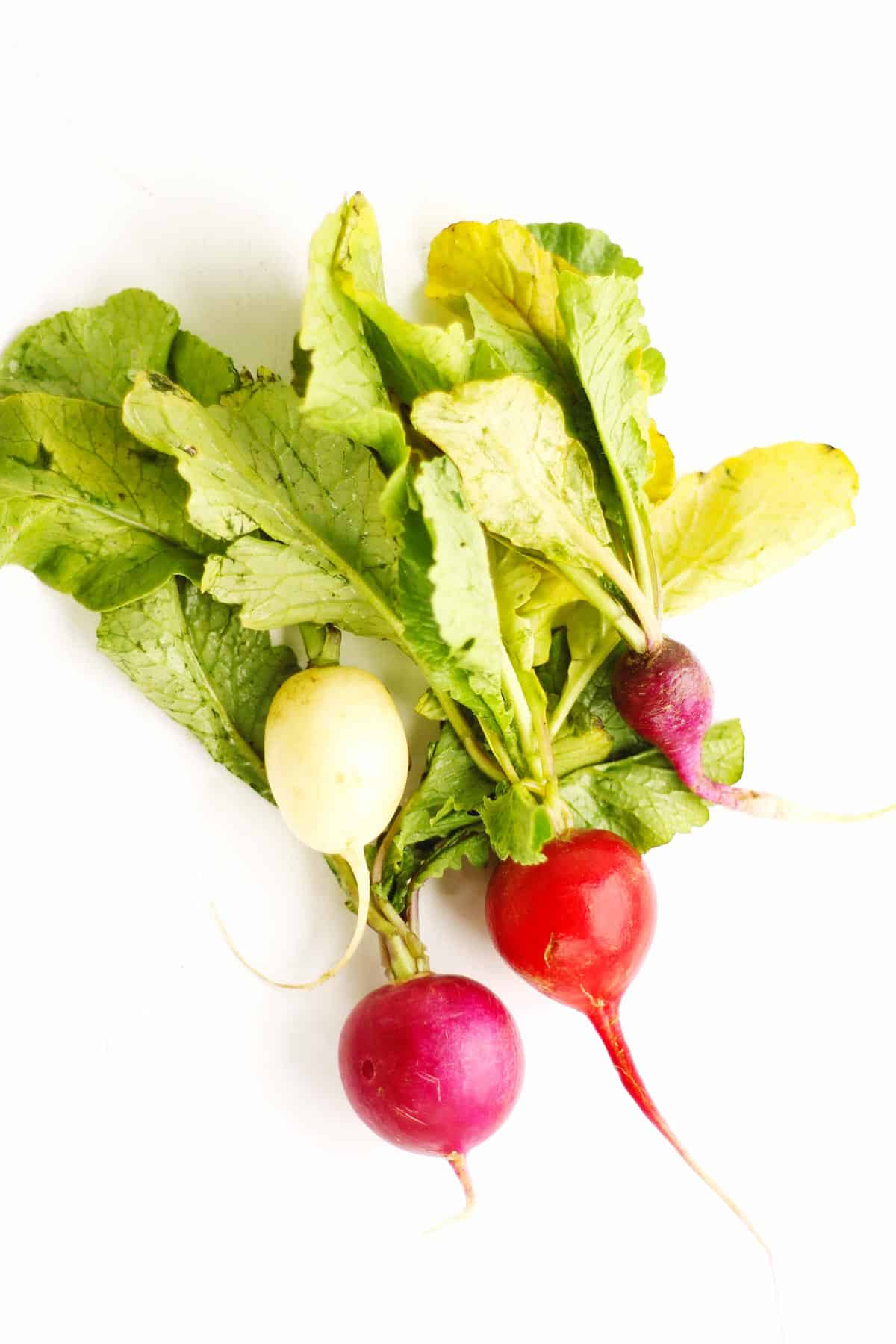 Easter egg radishes