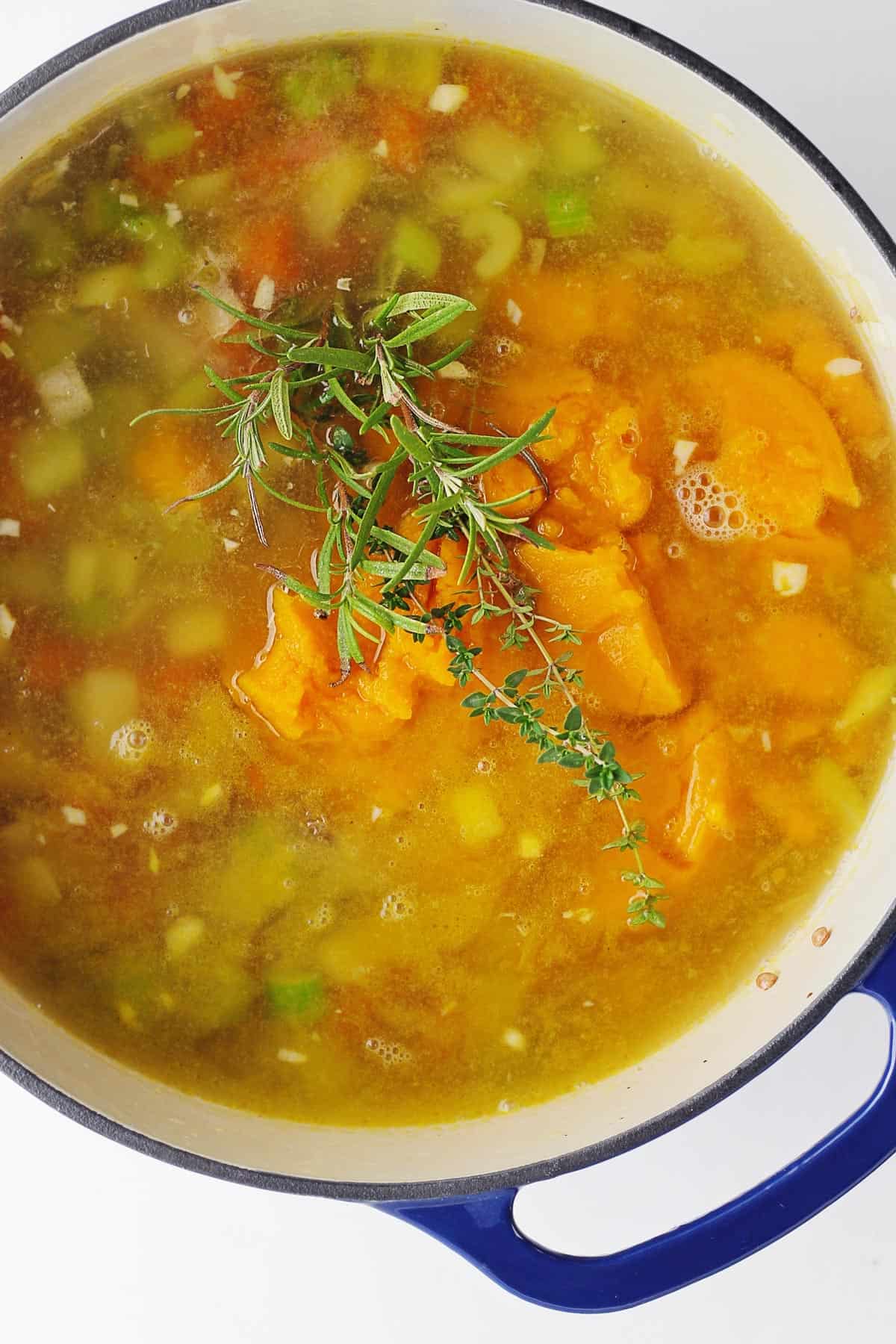 Pumpkin red lentil soup with herbs in a pot