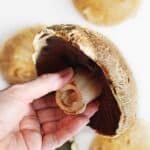 whole portobello mushroom