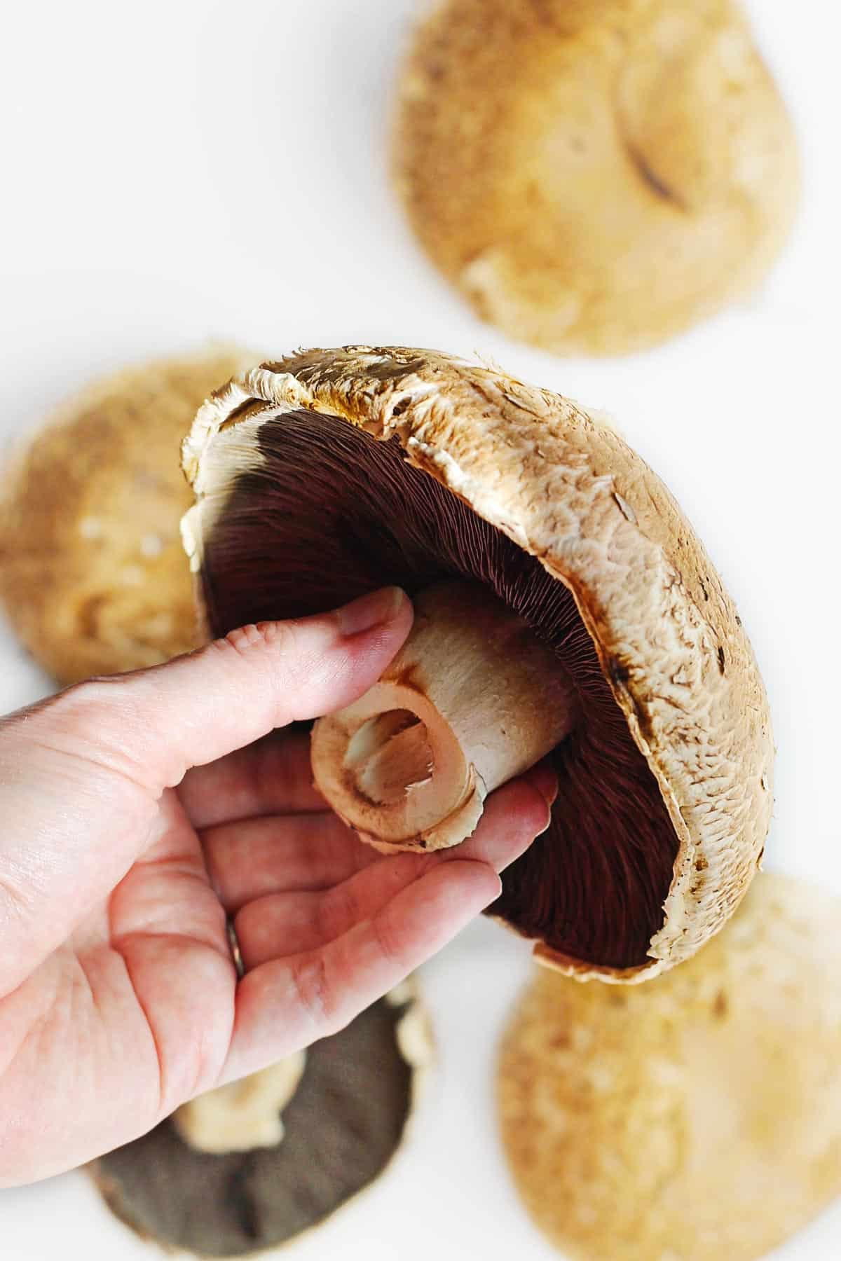 whole portobello mushroom