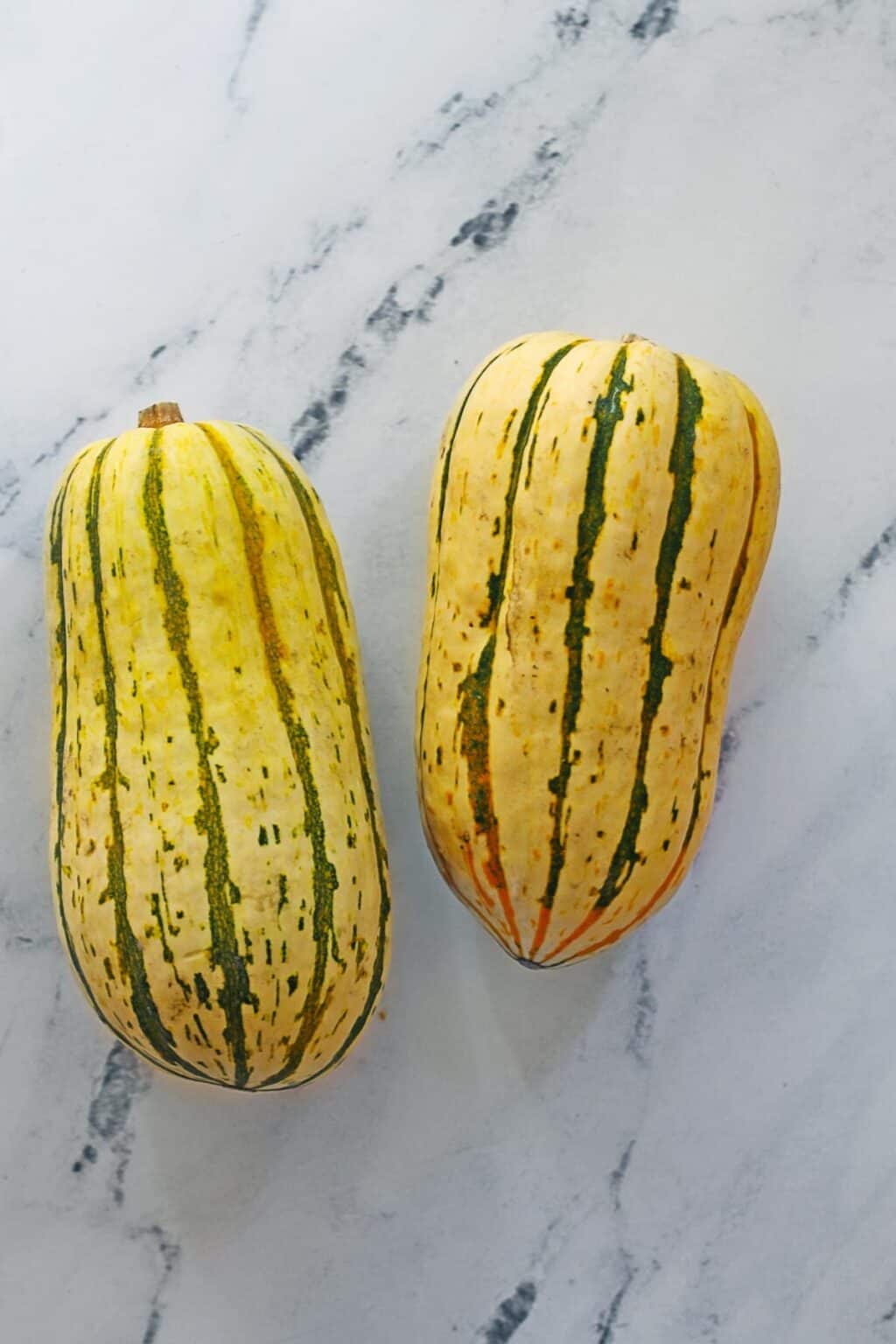 Delicata squash everything you need to know Rhubarbarians