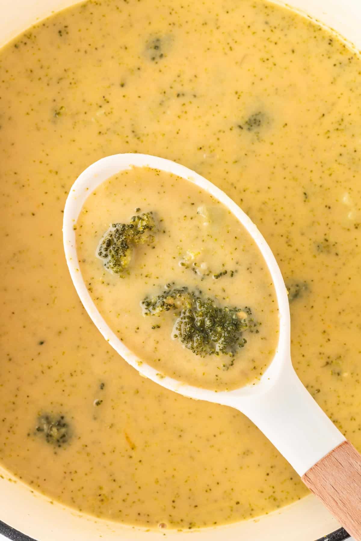 A photo of a spoon spatula holding a spoonful of broccoli cheese soup.