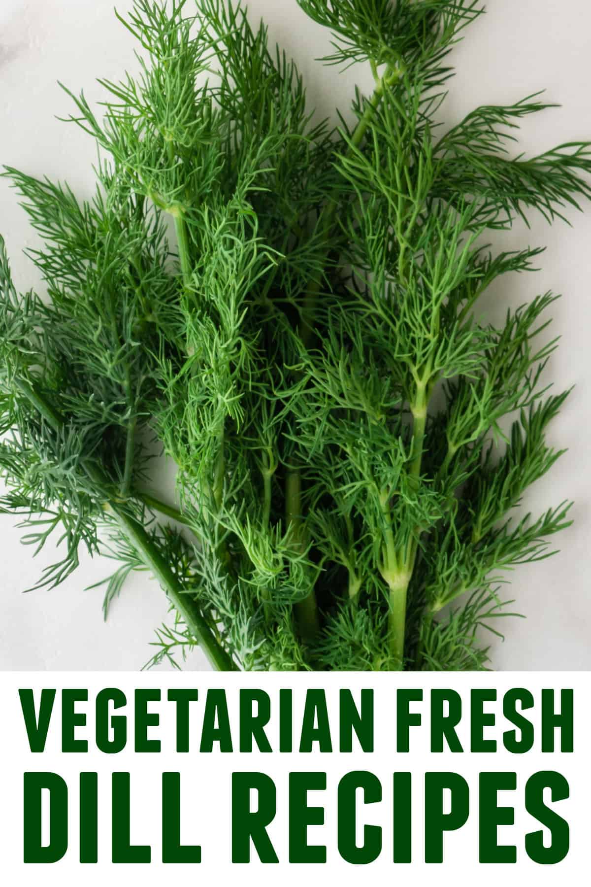 A photo of fresh dill with text underneath that reads, "vegetarian fresh dill recipes."