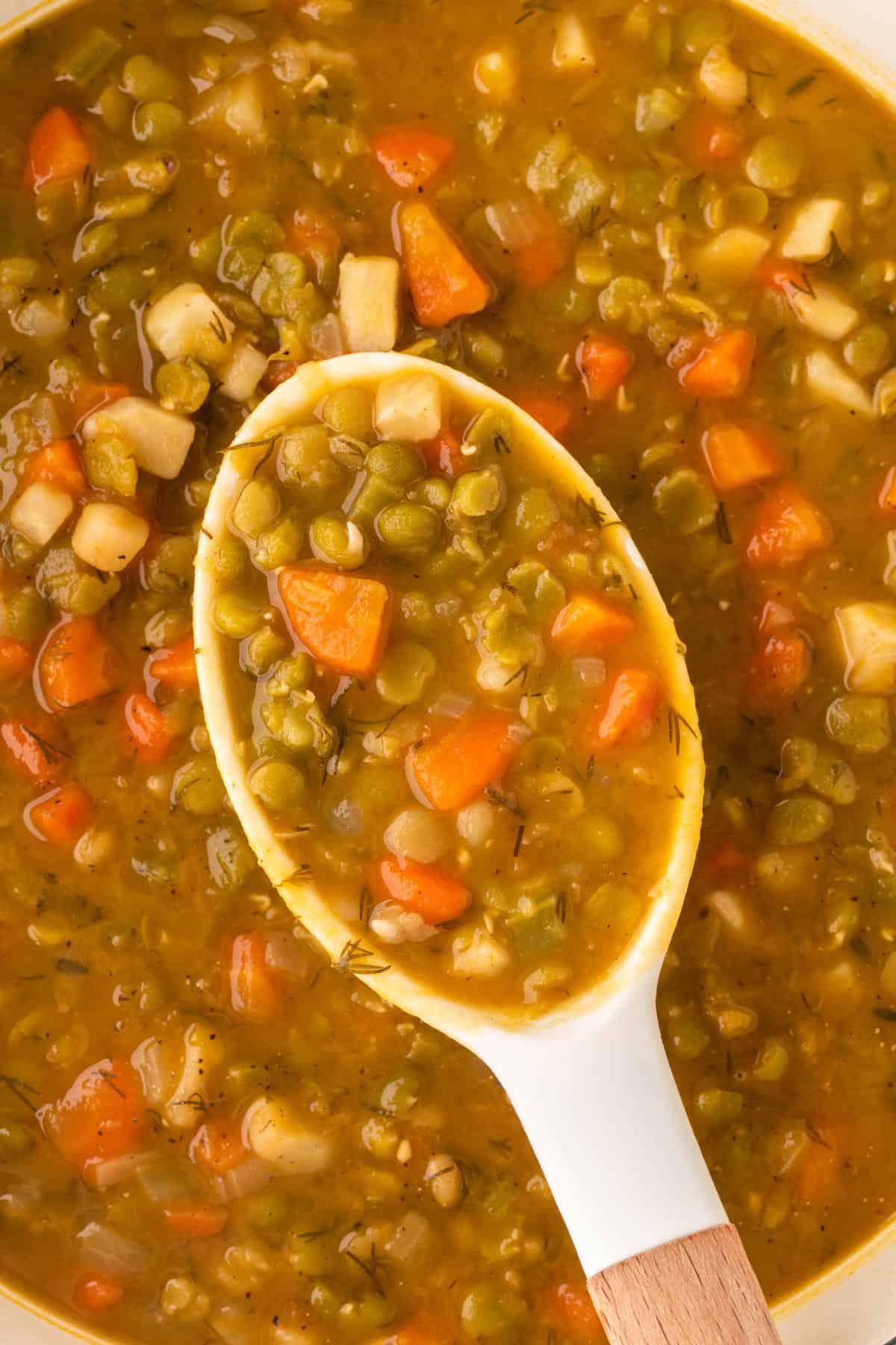 A photo of a spoonula full of split pea soup.